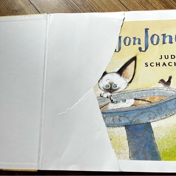Skippy Jon Jones Teachers Edition Oversized Hardcover Book by Judy‎ Schachner - Picture 3 of 7